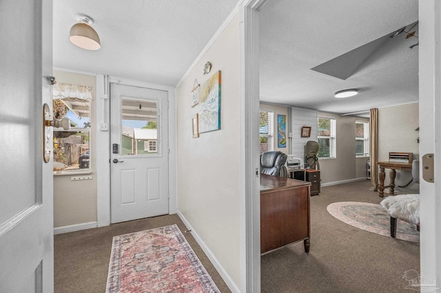 1220 E Cervantes, Pensacola, FL 32501 - carpeted foyer entrance featuring a textured ceiling, baseboards, and ornamental molding