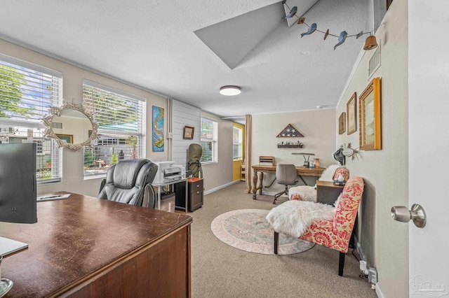 1220 E Cervantes, Pensacola, FL 32501 - office area featuring a textured ceiling, plenty of natural light, carpet floors, and baseboards