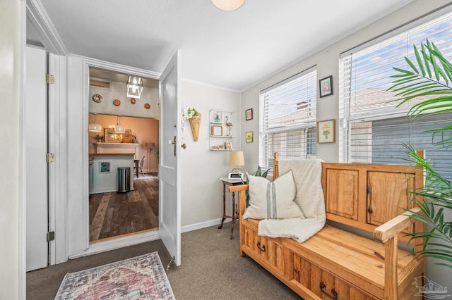 1220 E Cervantes, Pensacola, FL 32501 - living area featuring carpet, ornamental molding, and baseboards