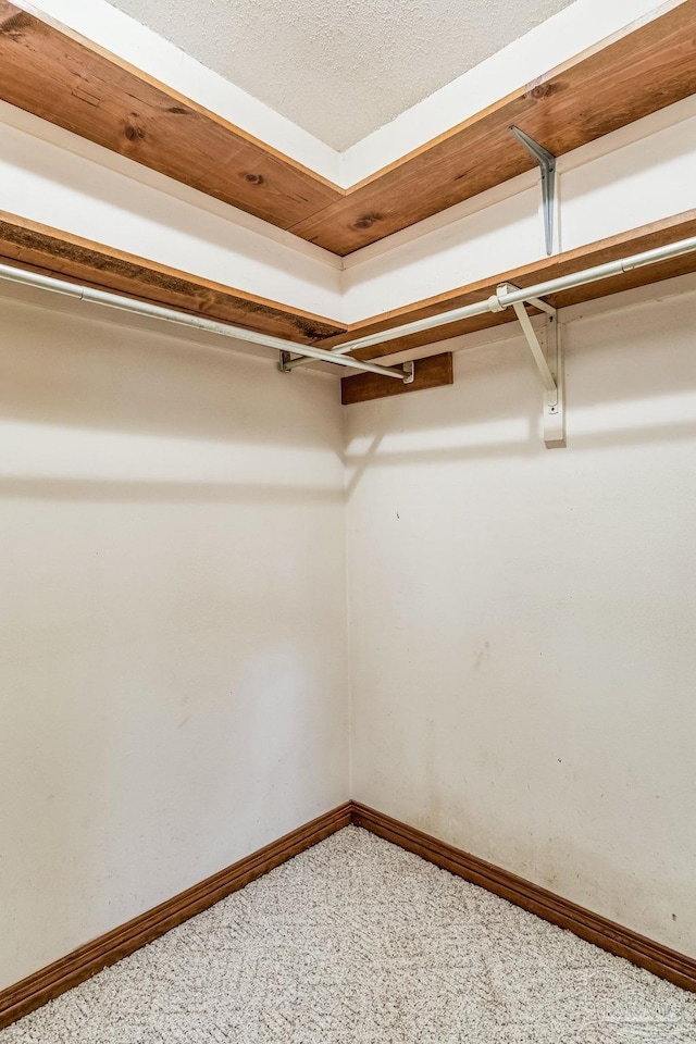 spacious closet featuring carpet floors