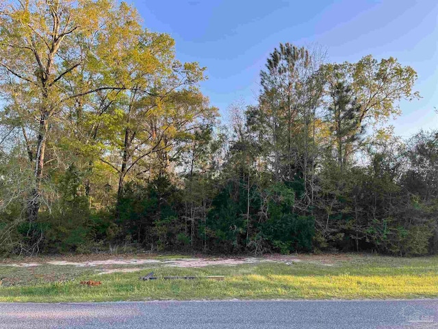 0 Country Mill Rd, Jay FL, 32570 land for sale