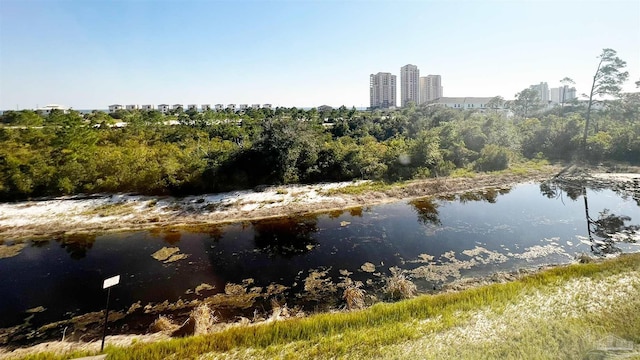 view of water feature