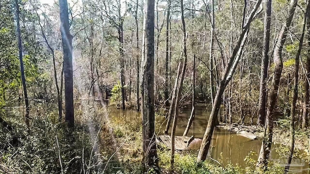 view of landscape with a wooded view