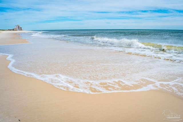 property view of water featuring a beach view