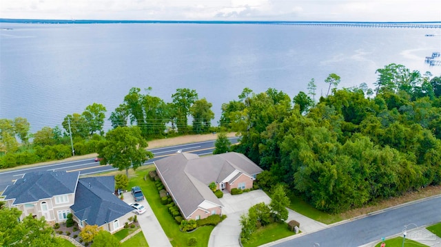 aerial view with a water view