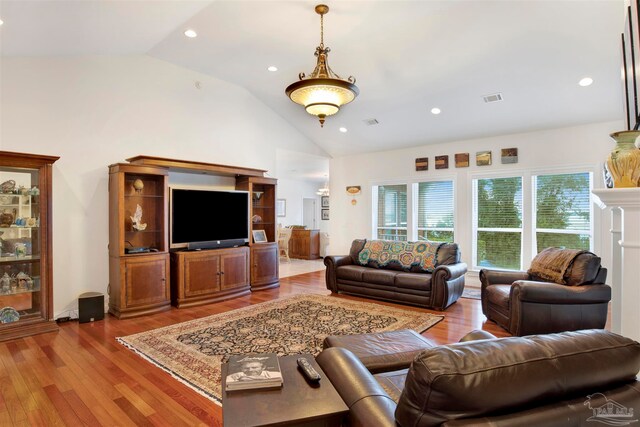 living room featuring wood-type flooring and high vaulted ceiling