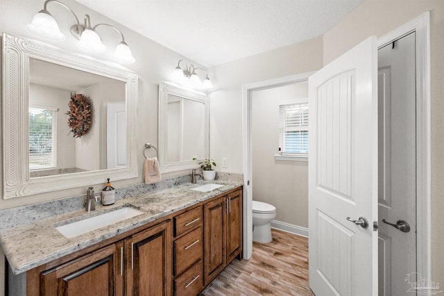 bathroom with wood-type flooring, vanity, and toilet