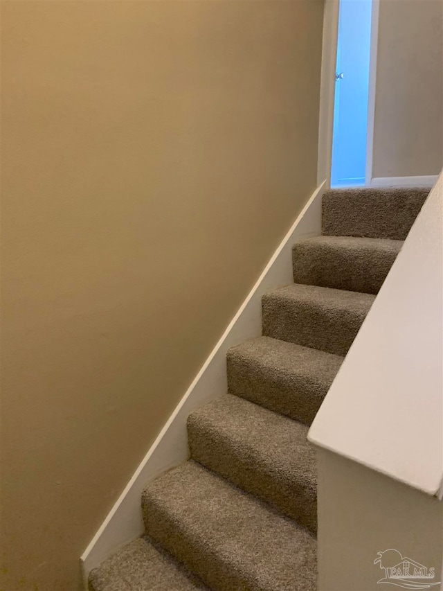 staircase featuring carpet floors