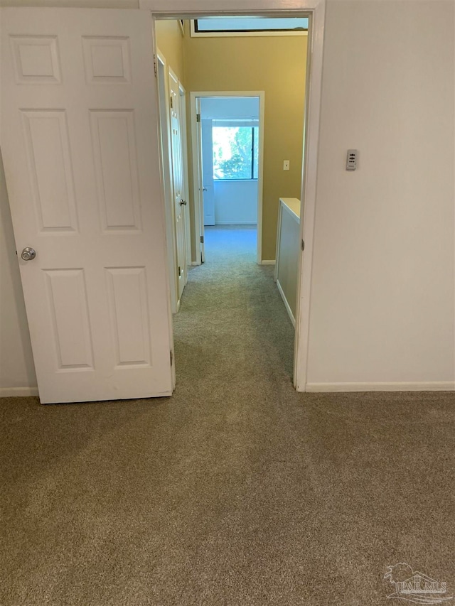 hall featuring carpet flooring