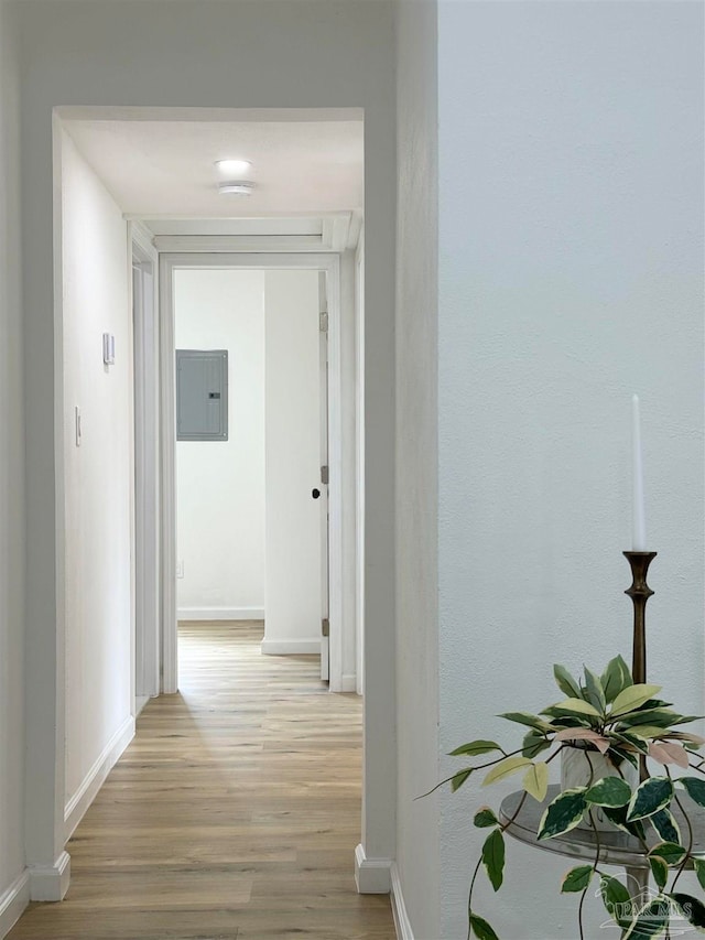 hallway with electric panel and light hardwood / wood-style flooring