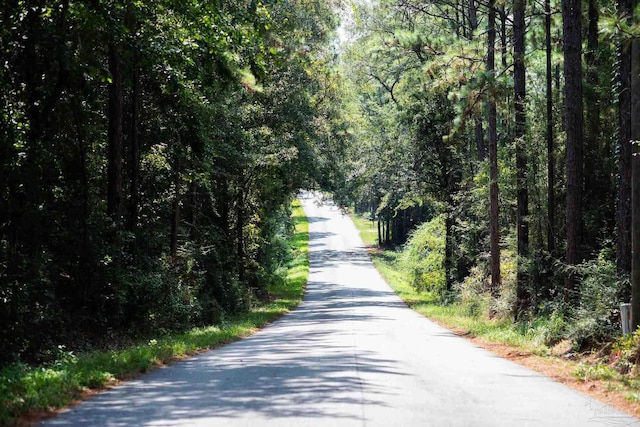 view of road with a forest view