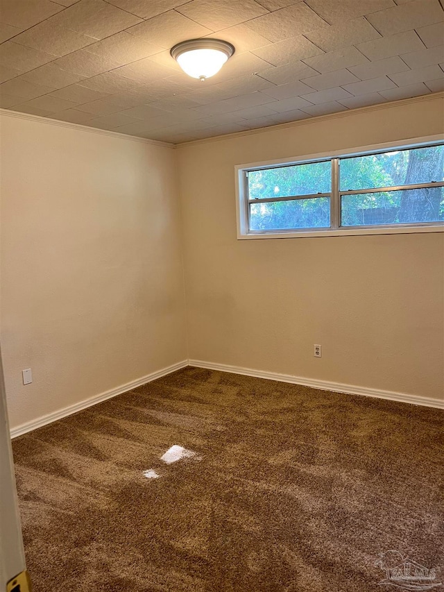 carpeted spare room with ornamental molding