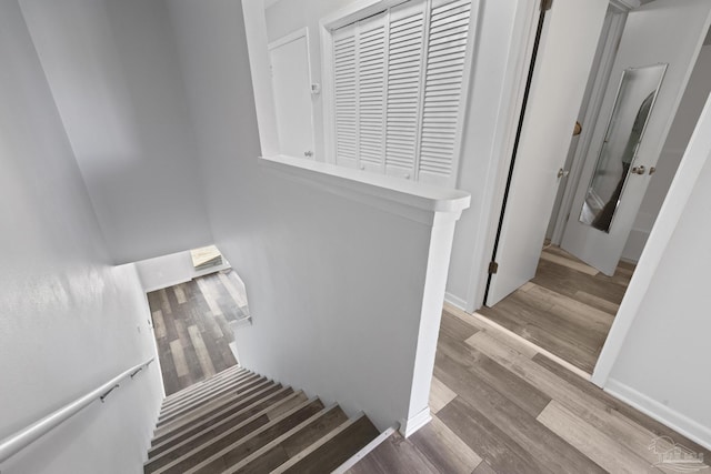 stairway featuring hardwood / wood-style flooring