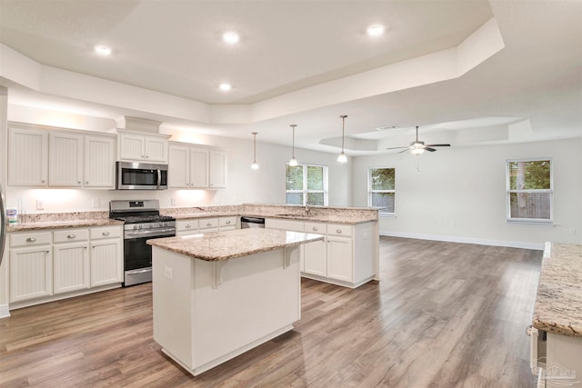 kitchen with a tray ceiling, a healthy amount of sunlight, stainless steel appliances, and hardwood / wood-style flooring