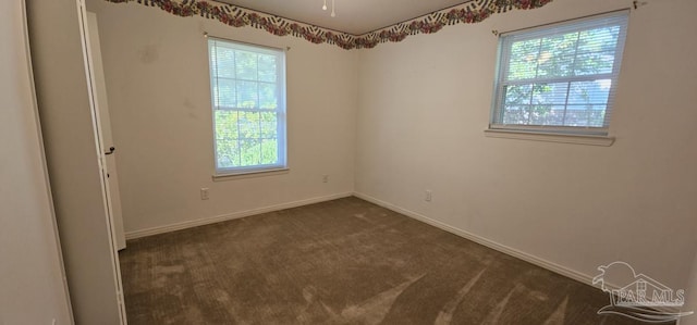 carpeted empty room featuring a wealth of natural light and ceiling fan