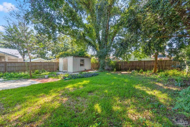 view of yard featuring a storage unit