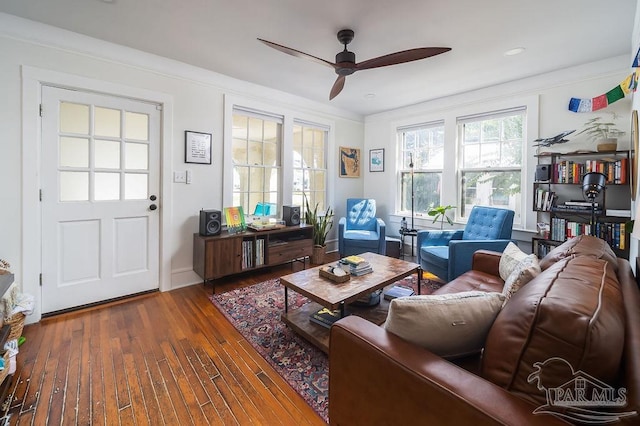 living room featuring ceiling fan, ornamental molding, and dark wood-type flooring