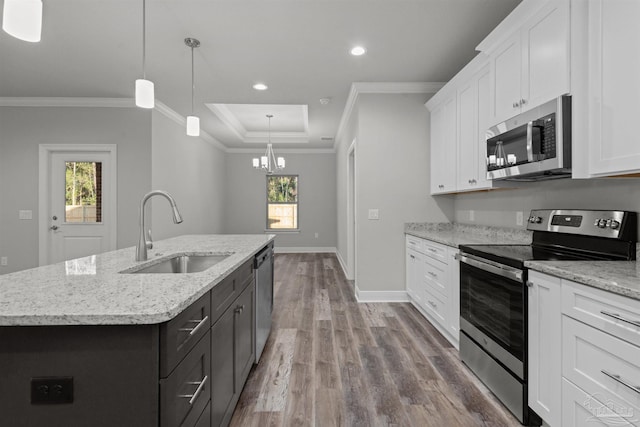 6621 Rocky Shores Rd, Milton, FL 32583 - kitchen featuring appliances with stainless steel finishes, a sink, white cabinetry, ornamental molding, and a raised ceiling