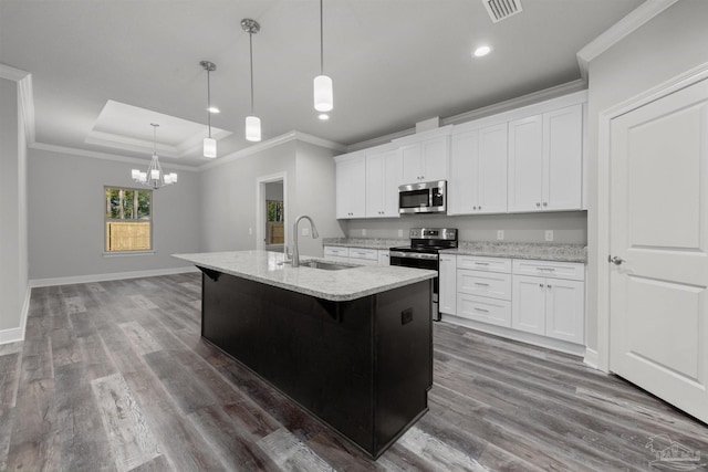 6621 Rocky Shores Rd, Milton, FL 32583 - kitchen featuring stainless steel appliances, a sink, ornamental molding, a tray ceiling, and dark wood-style flooring
