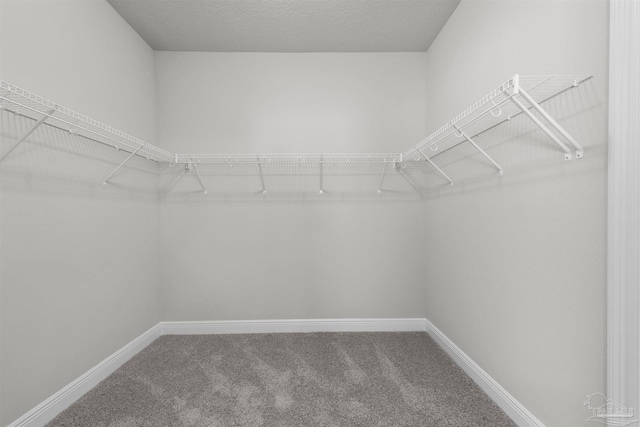 6621 Rocky Shores Rd, Milton, FL 32583 - walk in closet with carpet floors