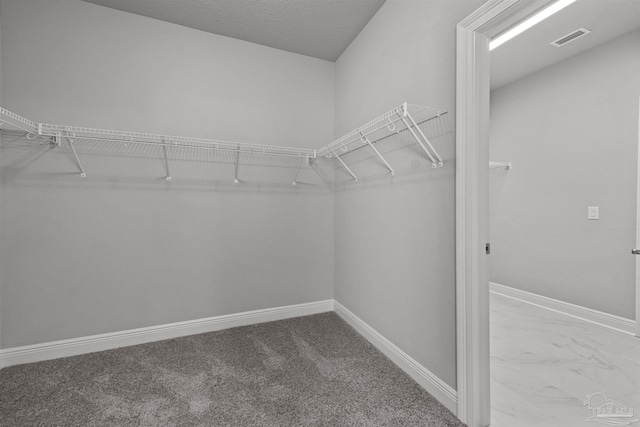 6621 Rocky Shores Rd, Milton, FL 32583 - walk in closet featuring marble finish flooring and carpet