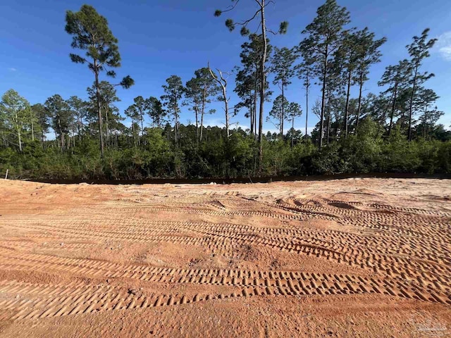 6621 Rocky Shores Rd, Milton, FL 32583 - view of nature