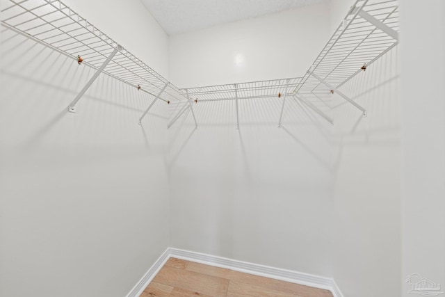 spacious closet featuring light wood-type flooring