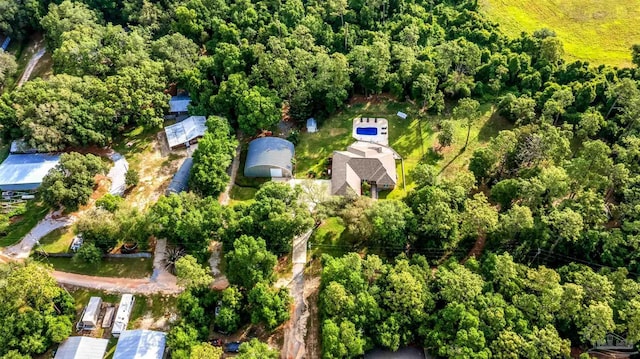 9638 Wills Ln, Lillian, AL 36549 - drone / aerial view