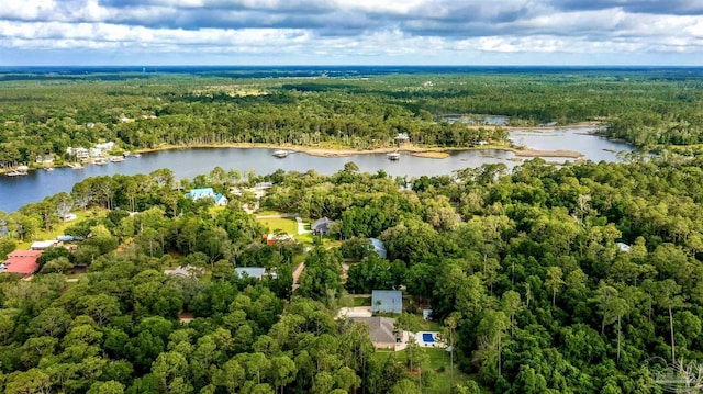 9638 Wills Ln, Lillian, AL 36549 - aerial view of property and surrounding area featuring a forest and a large body of water