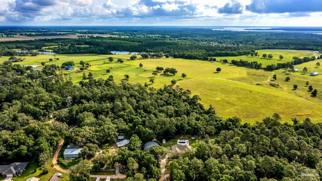 9638 Wills Ln, Lillian, AL 36549 - aerial view of a nearby body of water