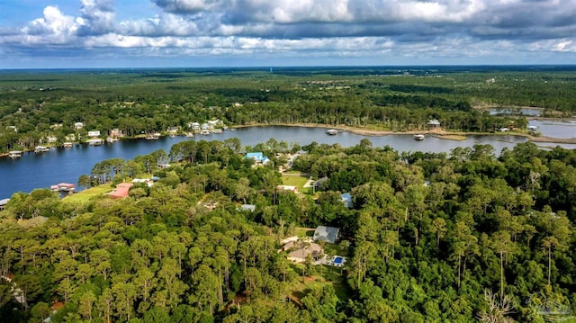 9638 Wills Ln, Lillian, AL 36549 - view of property location featuring a forest and a large body of water
