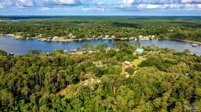 9638 Wills Ln, Lillian, AL 36549 - aerial overview of property's location featuring a forest and a large body of water