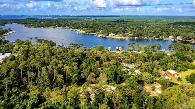 9638 Wills Ln, Lillian, AL 36549 - aerial view of property's location featuring a heavily wooded area and a nearby body of water