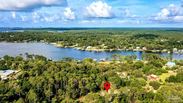 9638 Wills Ln, Lillian, AL 36549 - drone / aerial view of a forest and a large body of water