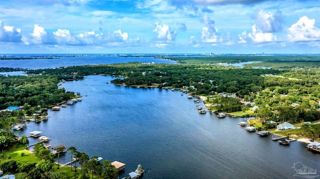 9638 Wills Ln, Lillian, AL 36549 - drone / aerial view of a large body of water