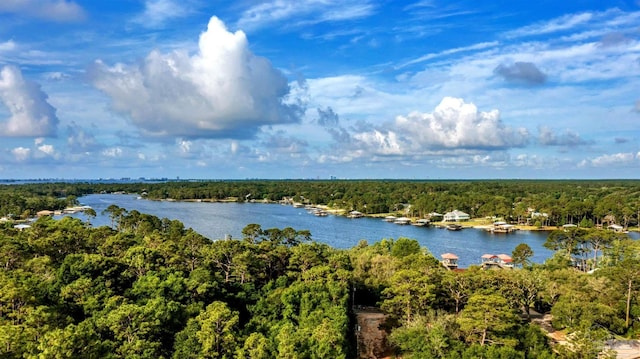 9638 Wills Ln, Lillian, AL 36549 - water view featuring a heavily wooded area