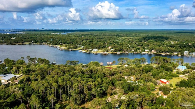 9638 Wills Ln, Lillian, AL 36549 - bird's eye view of a forest and a large body of water