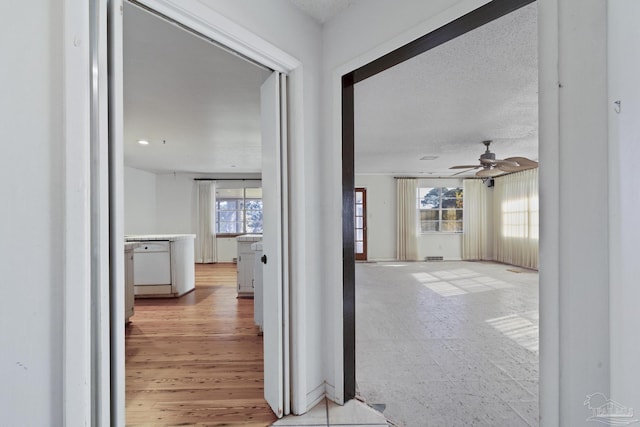 corridor with a textured ceiling and a wealth of natural light