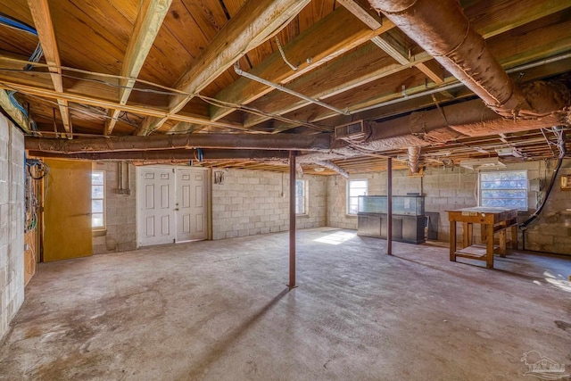 basement featuring plenty of natural light