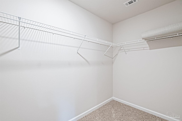 spacious closet featuring carpet flooring