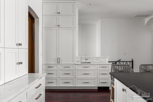 walk in closet with dark hardwood / wood-style flooring and sink