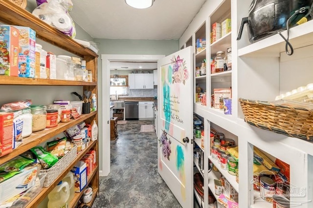 storage area with a sink