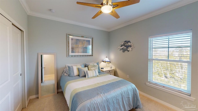 carpeted bedroom with ceiling fan, ornamental molding, and a closet