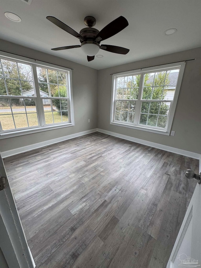 spare room featuring hardwood / wood-style floors and a wealth of natural light