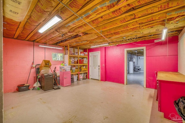 basement featuring water heater