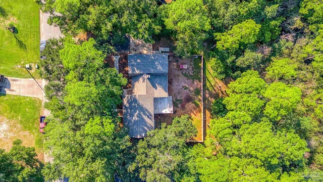 drone / aerial view