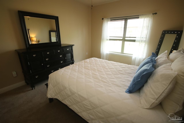 4135 Dundee Crossing Dr, Pace, FL 32571 - bedroom featuring carpet and baseboards