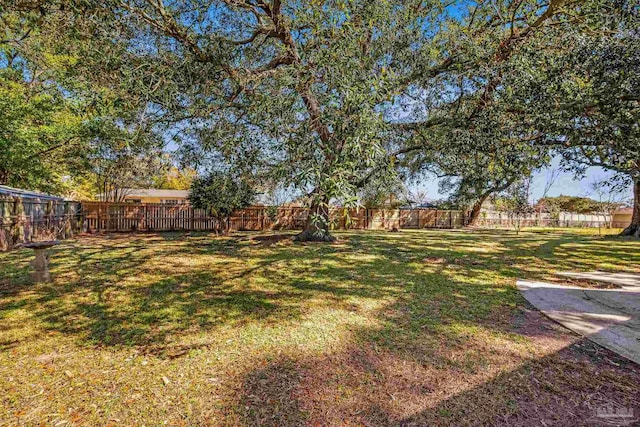 view of yard with a fenced backyard