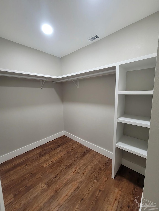 walk in closet featuring dark hardwood / wood-style floors