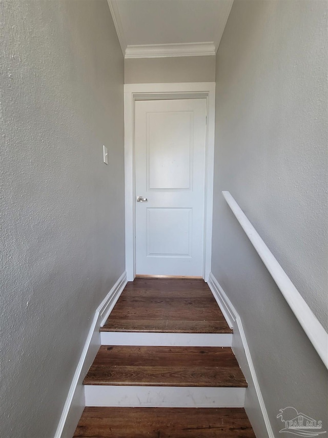 stairway with ornamental molding and wood-type flooring